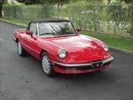 Alfa Romeo Spider Graduate