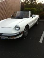 Alfa Romeo Spider Veloce